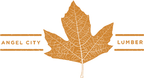 ACL-logo